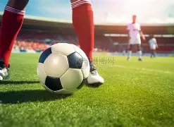 多特官方确,认签下尤文,中场,征途国际,征途国际官网,征途国际电子,征途国际游戏,征途国际模拟器